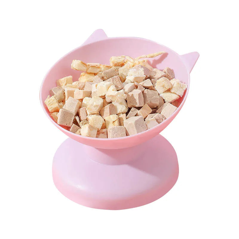 Elevated Tilted Pet Food Bowl Dogs & Cats