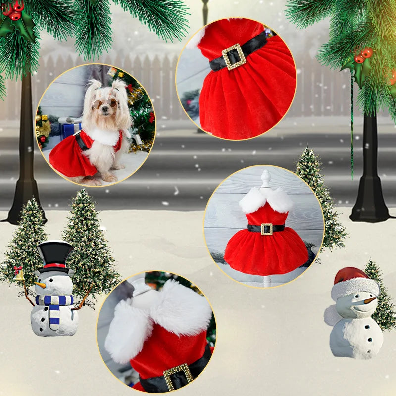 Santa Paws Dog Christmas Dress