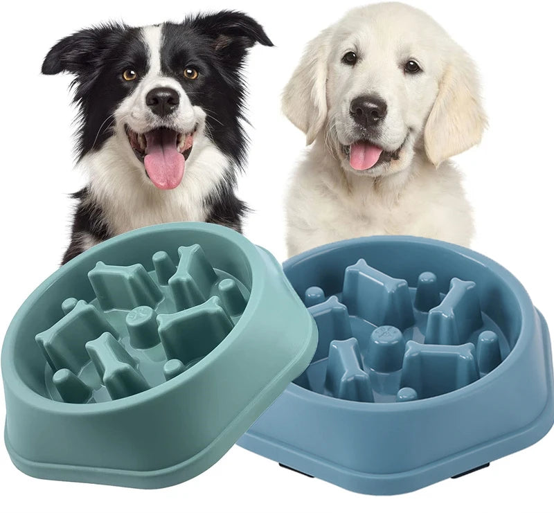 Slow Feeder Dog Bowl – Anti-Gulp Design with Bone Maze