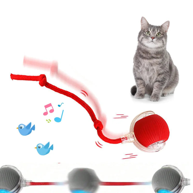 Cat & Kitten Entertainment Ball