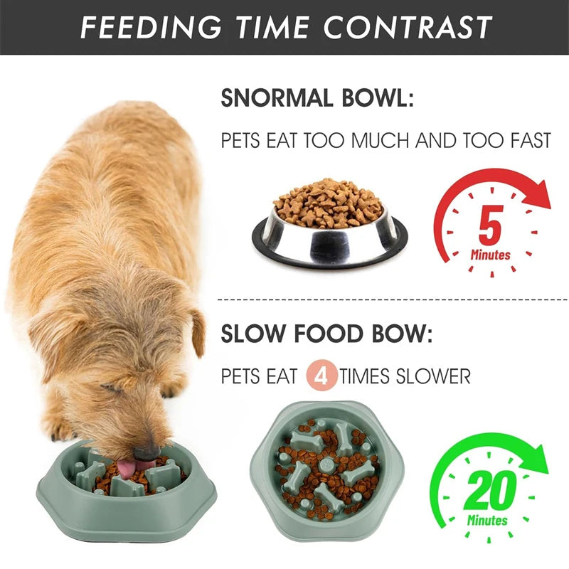 Slow Feeder Dog Bowl – Anti-Gulp Design with Bone Maze