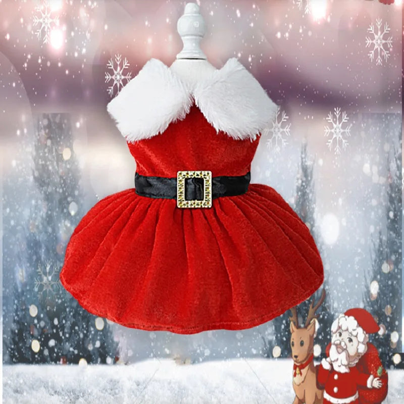 Santa Paws Dog Christmas Dress