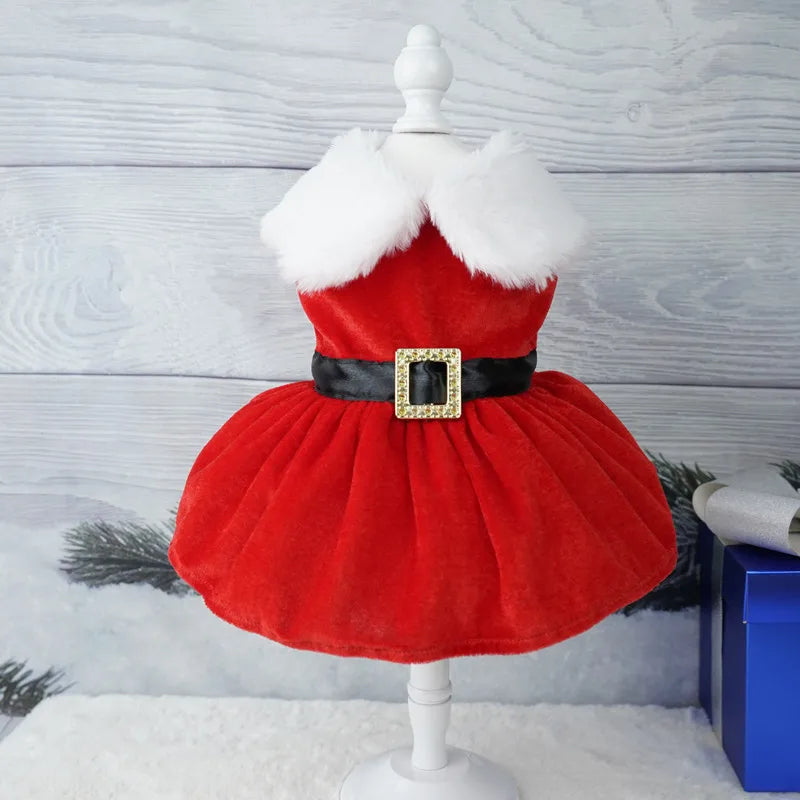 Santa Paws Dog Christmas Dress