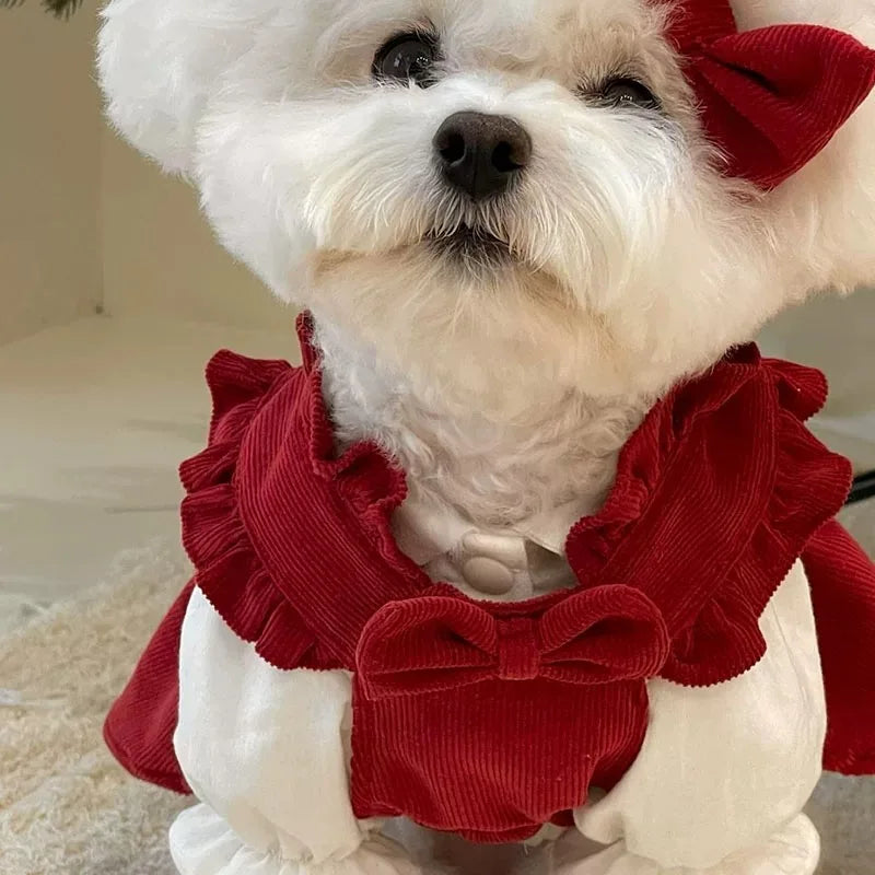 Festive Dog Christmas Dress