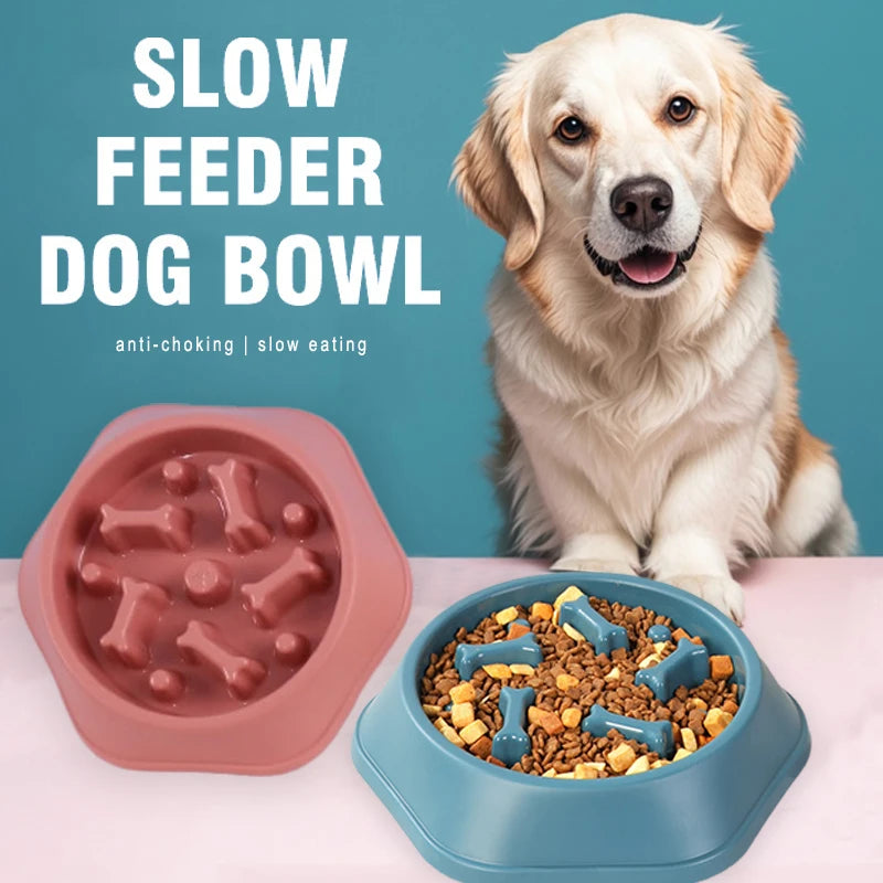 Slow Feeder Dog Bowl – Anti-Gulp Design with Bone Maze