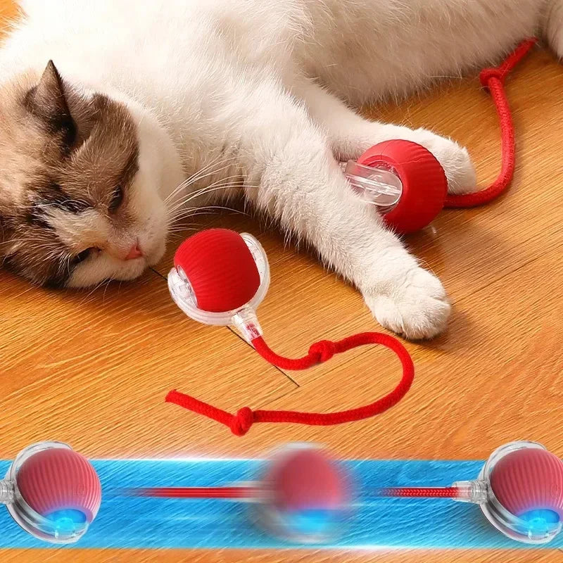 Cat & Kitten Entertainment Ball