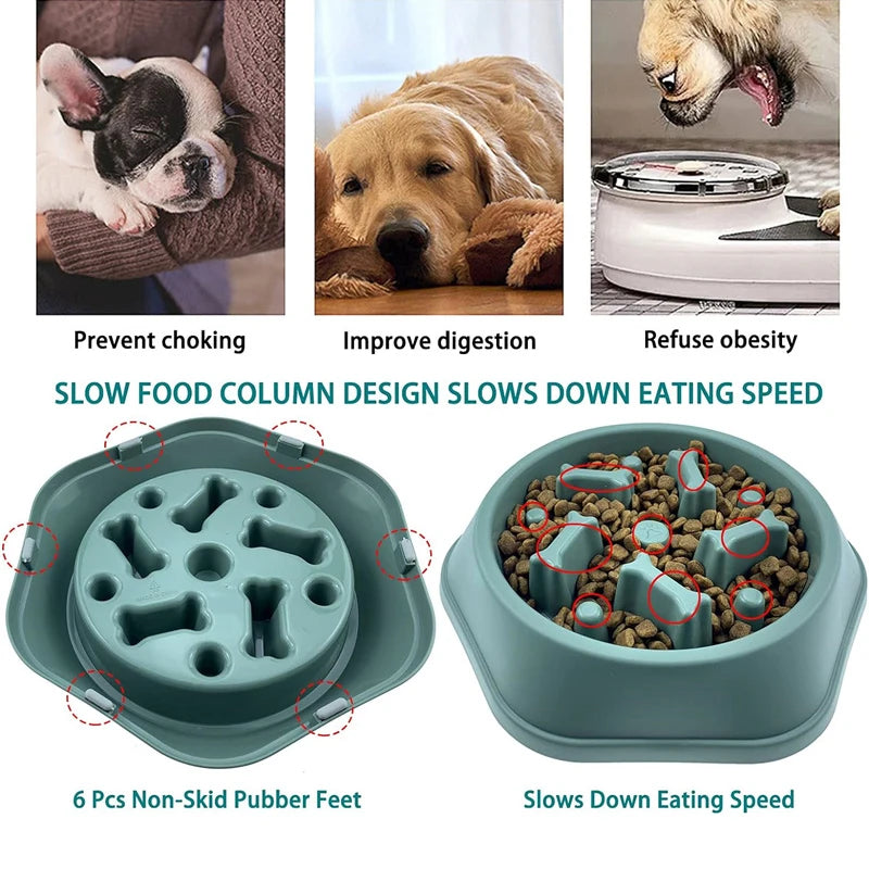 Slow Feeder Dog Bowl – Anti-Gulp Design with Bone Maze