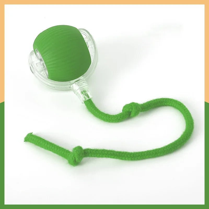 Cat & Kitten Entertainment Ball