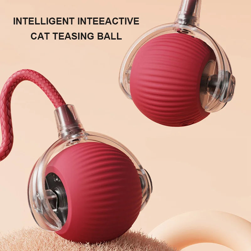 Cat & Kitten Entertainment Ball