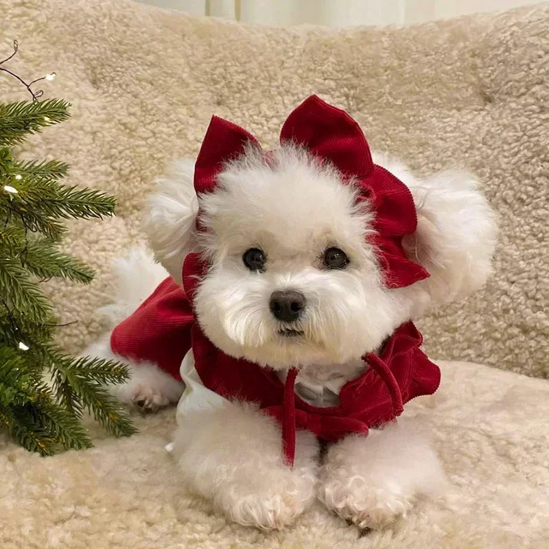 Festive Dog Christmas Dress