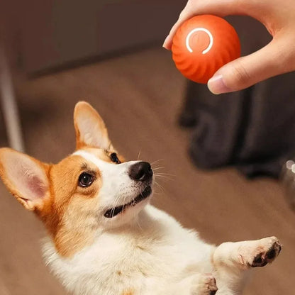 Automatic Bouncing Dog Toy Ball