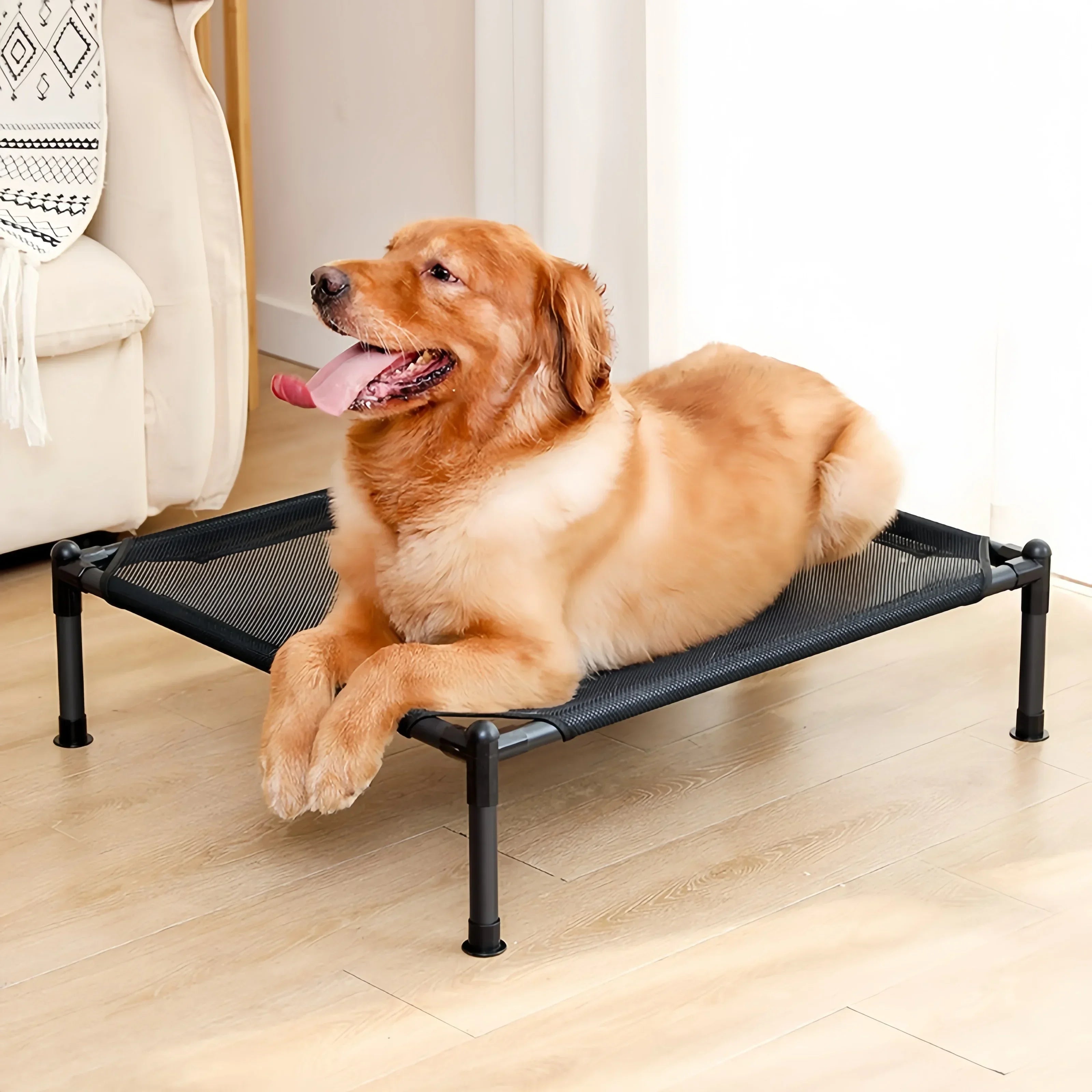 Elevated Pet Bed for Dog  & Cat  Folding Pet Camping Bed