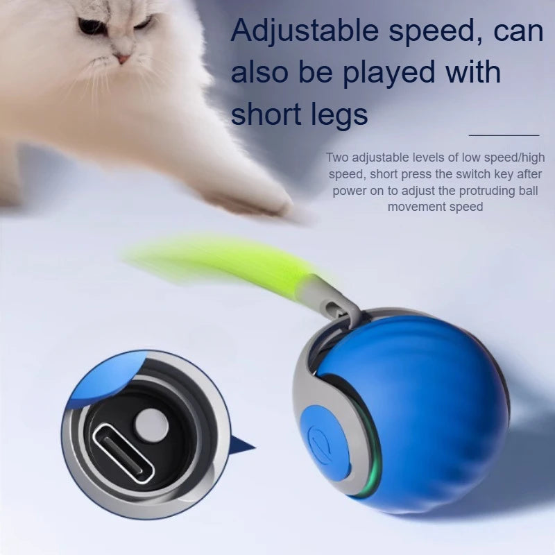 Smart Electric Rolling Ball for Cats